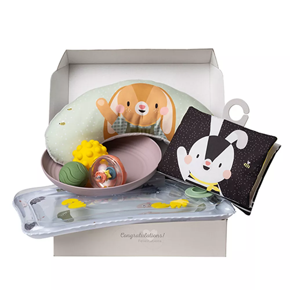 Giochi Essenziali per il Tummy Time Taf Toys