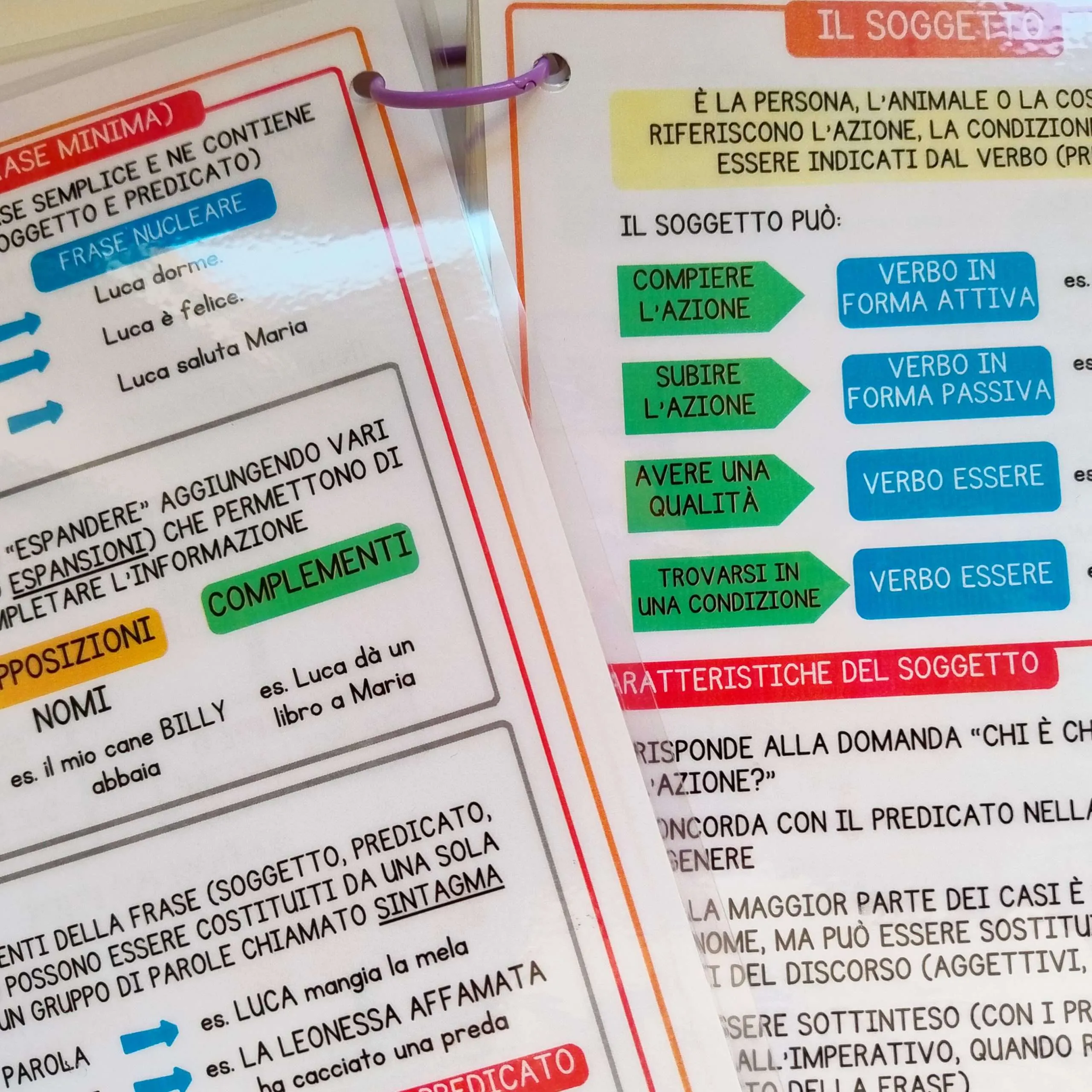 PRONTUARIO DI GRAMMATICA – MORFOLOGIA - immagine 4