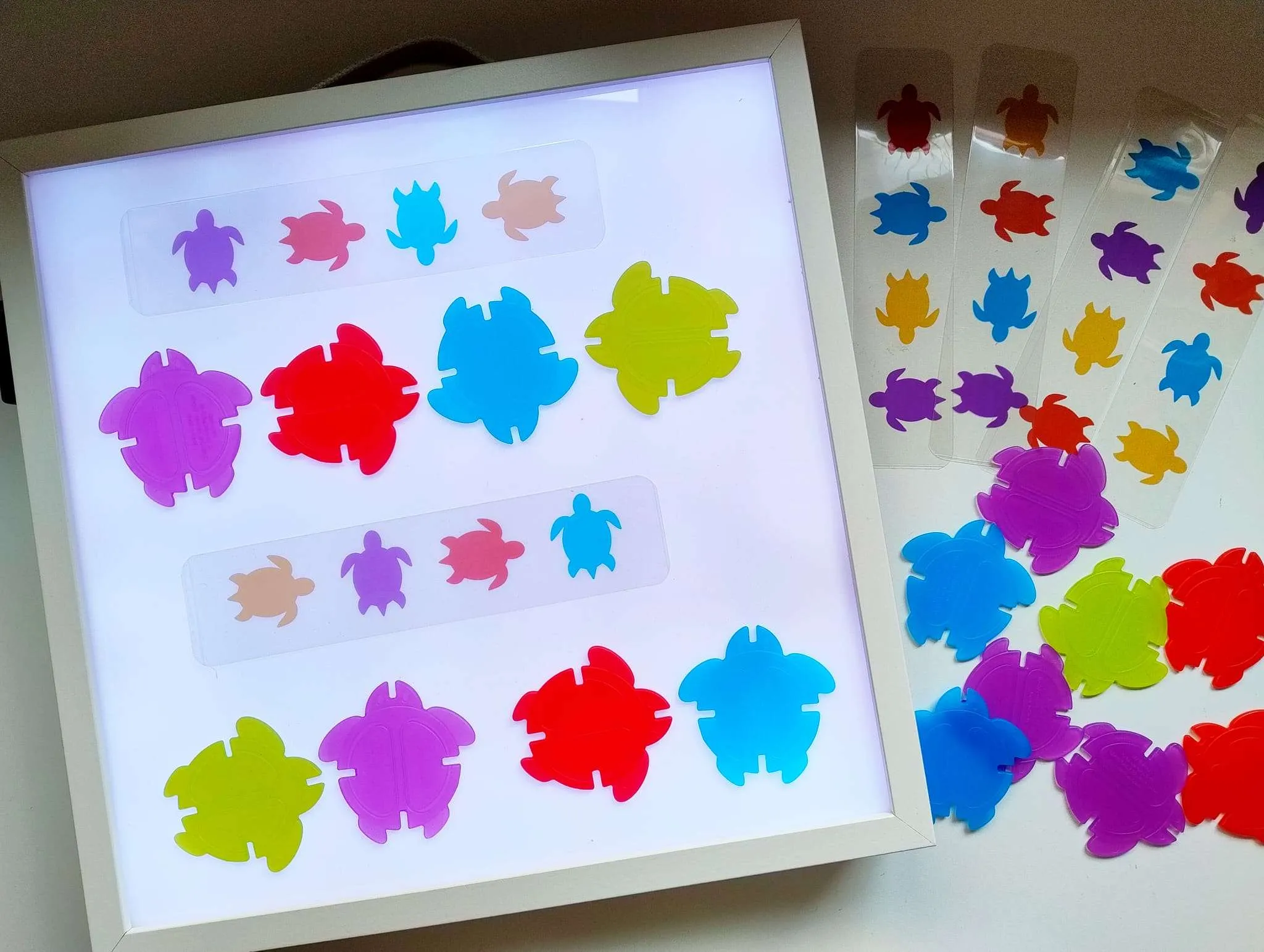 KIT CODING TARTARUGHE LUMINOSE - immagine 5