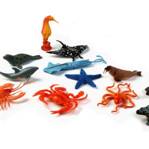 BUSTA ANIMALI OCEANO